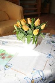 IMG_7401.JPG